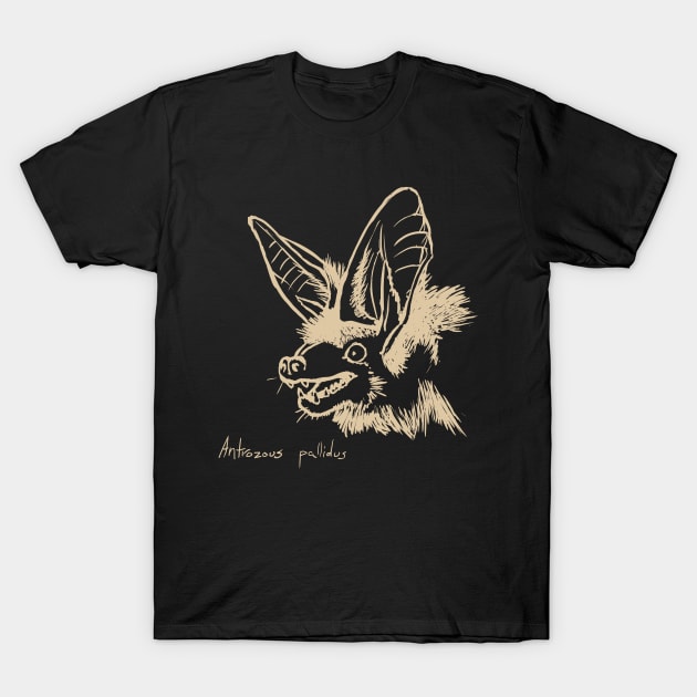 Pallid bat T-Shirt by Meganopteryx